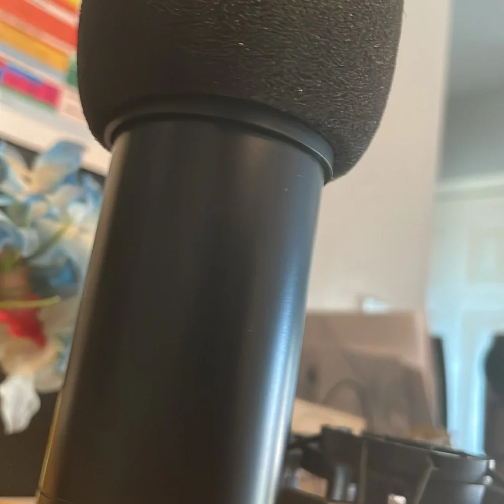 Microphone and Microphone Holder
